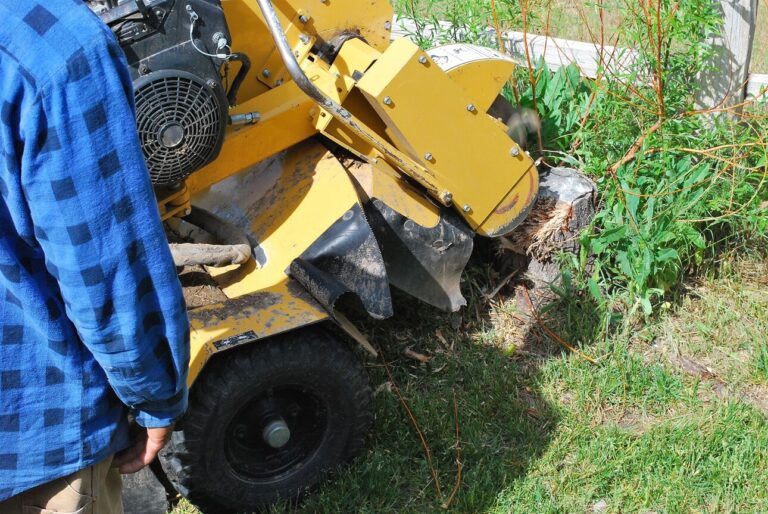 Fredericksburg TX Stump Grinding