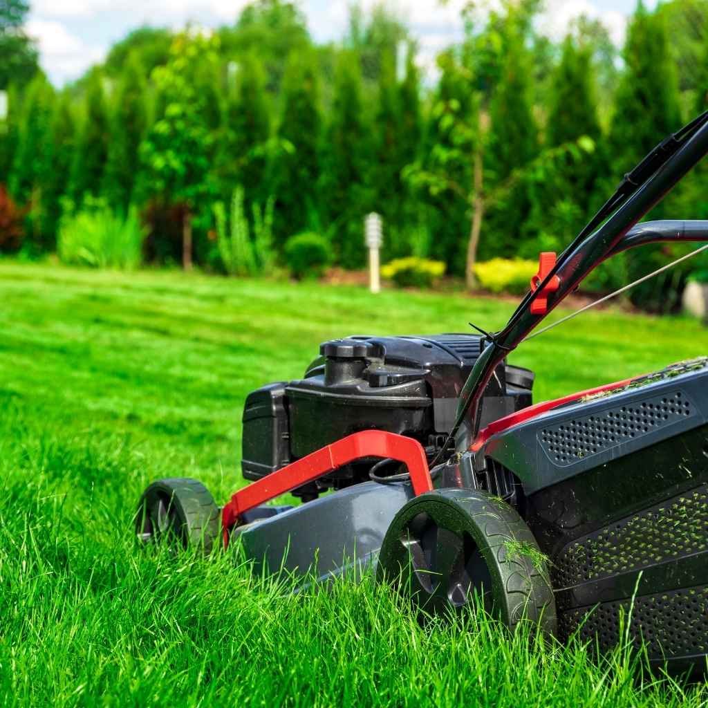 Field Mowing Services in Fredericksburg Texas​