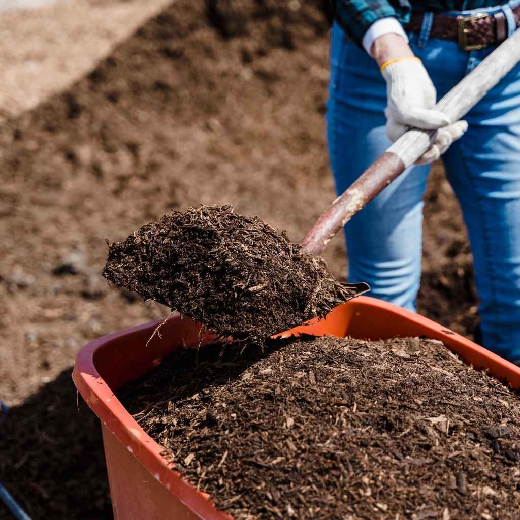 Why Choose Our Equipment for Mulching Services Fredericksburg Texas​