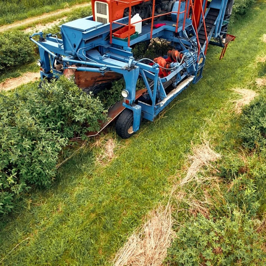 Agricultural Clearing Services in Fredericksburg, Texas​