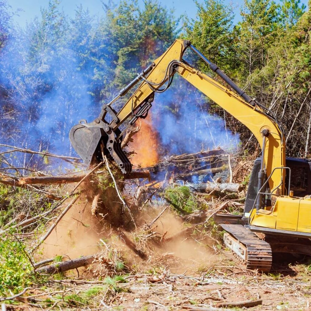 Benefits of Brush Removal Fredericksburg Texas​
