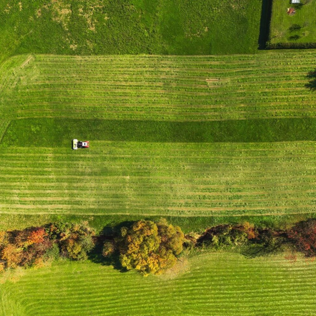 Benefits of Field Mowing​