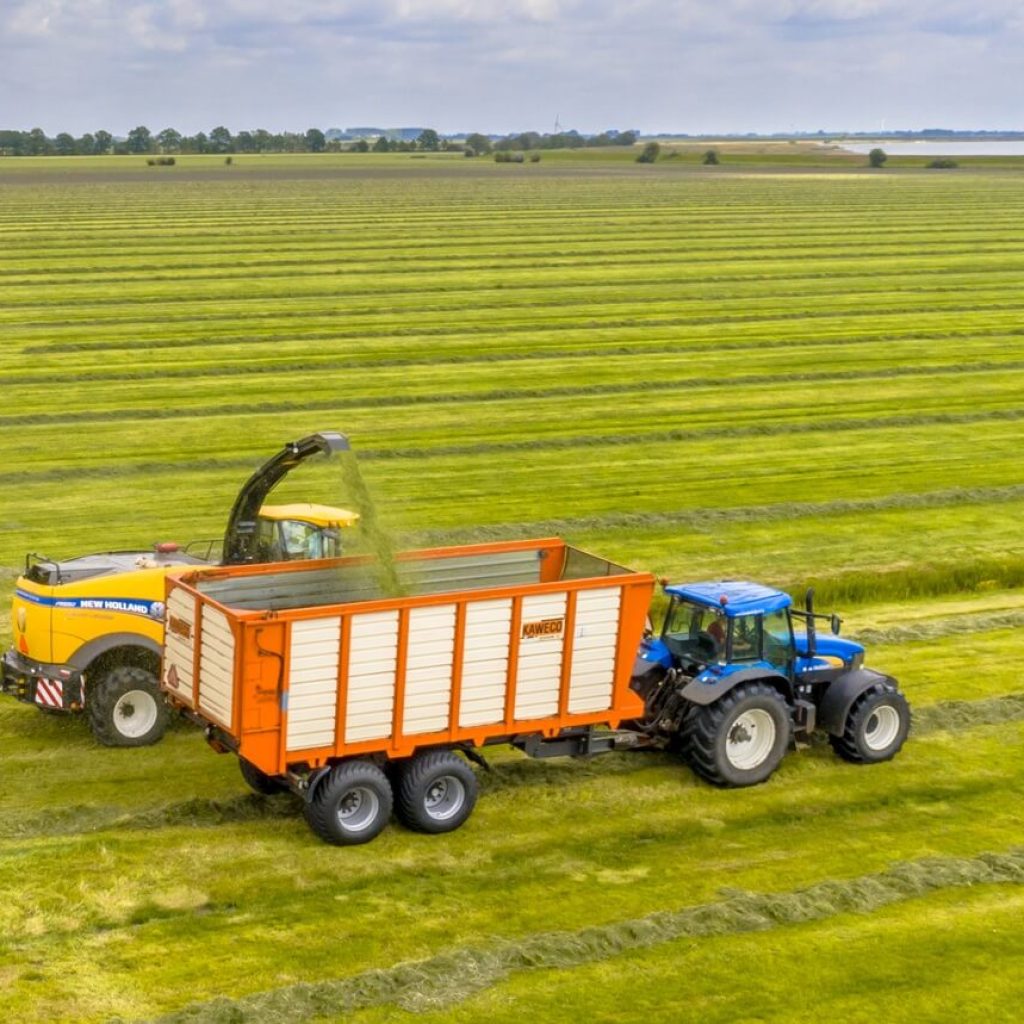 Benefits of Pasture Mowing​