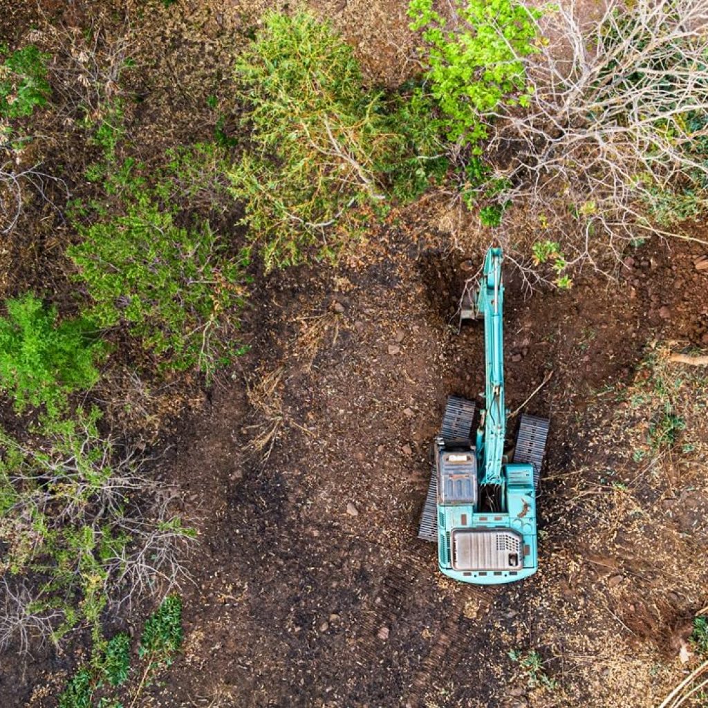 Benefits of Underbrush Clearing​