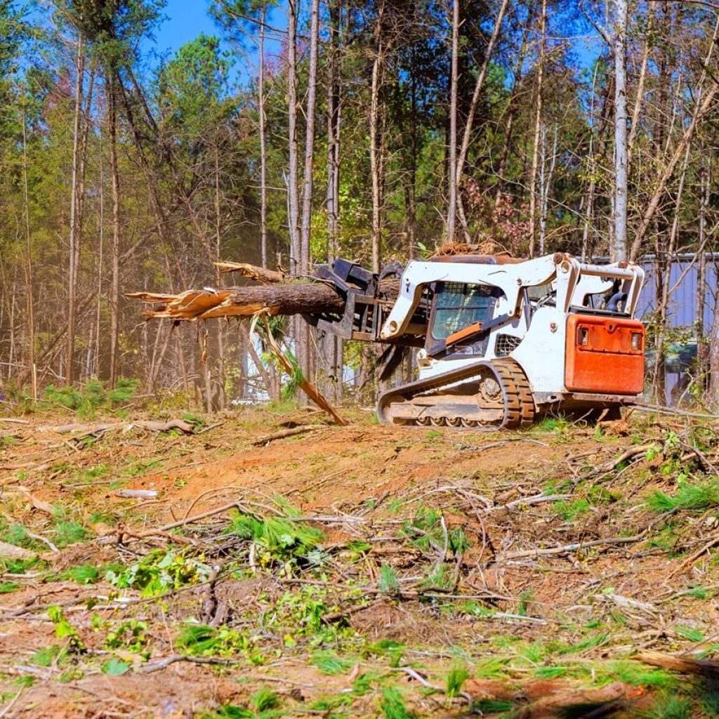 Brush Removal Services in Fredericksburg Texas​