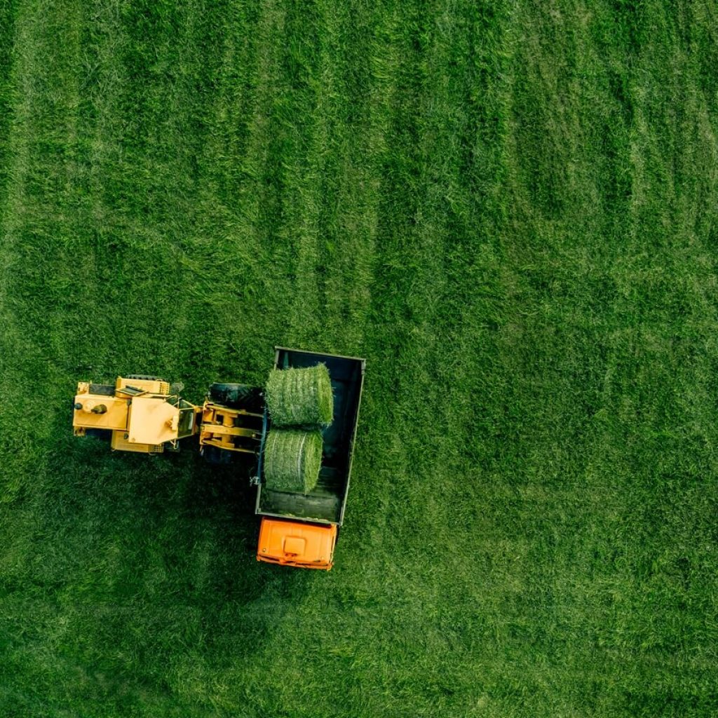 Field Mowing Fredericksburg TX​