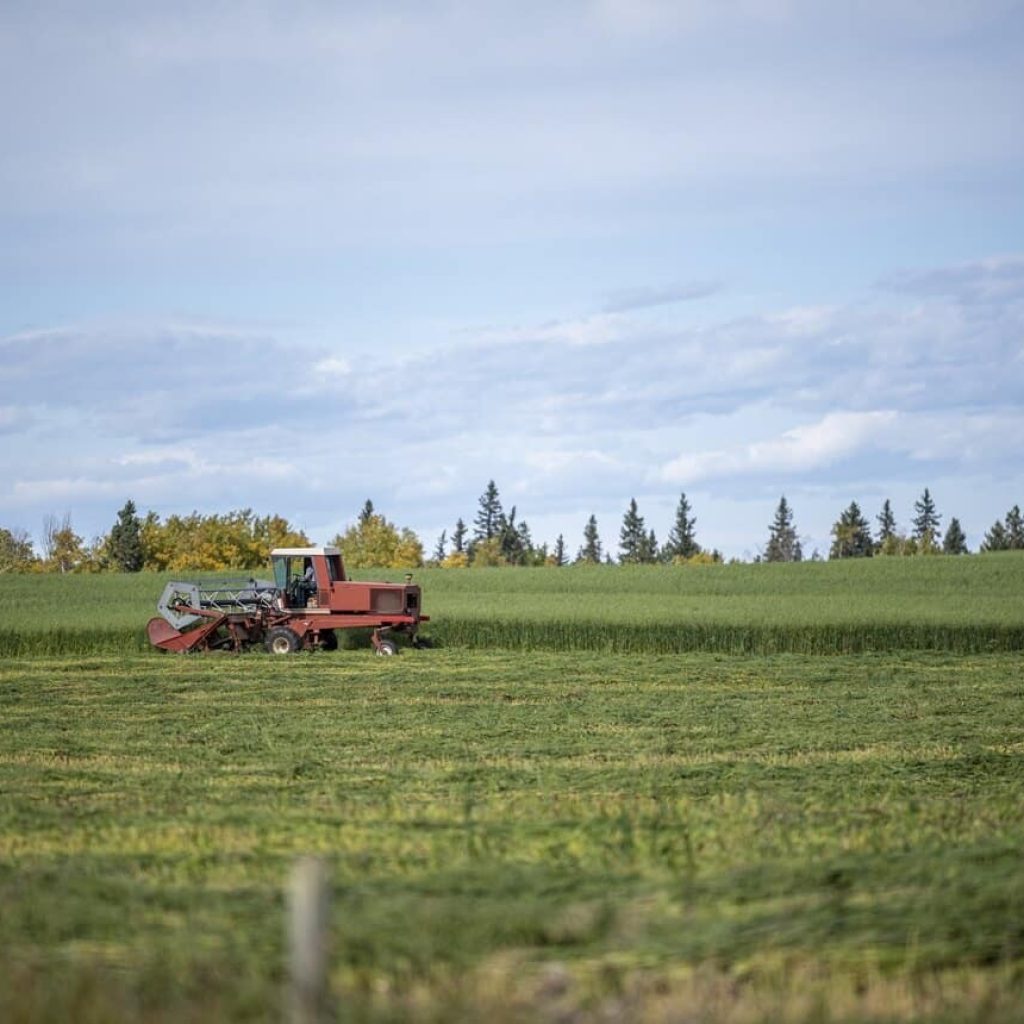Pasture Mowing Fredericksburg TX​