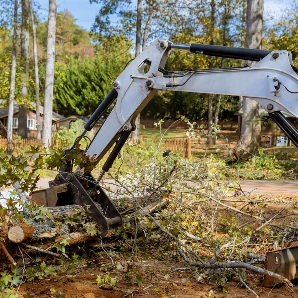 Tree removal in Fredericksburg TX Tree removal in Fredericksburg TX