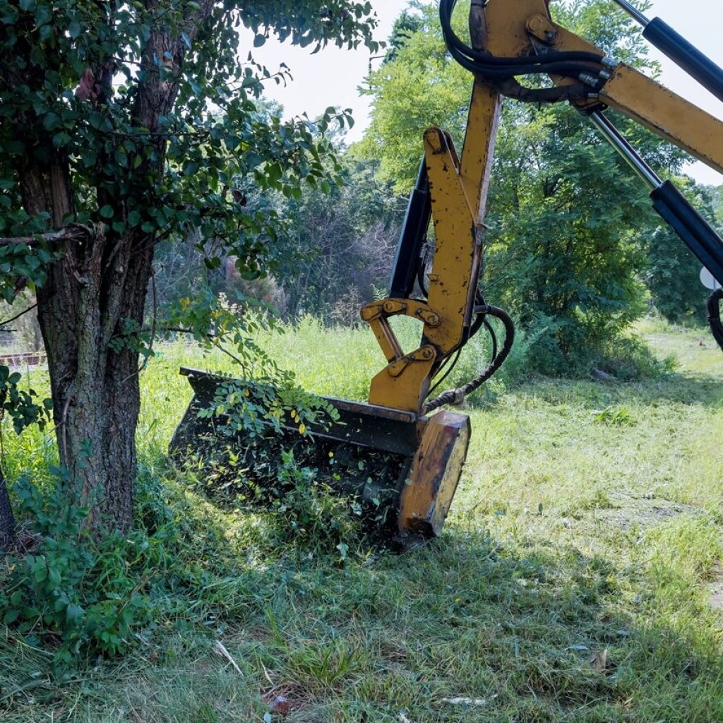 Why Choose Our Equipment for Underbrush Clearing​
