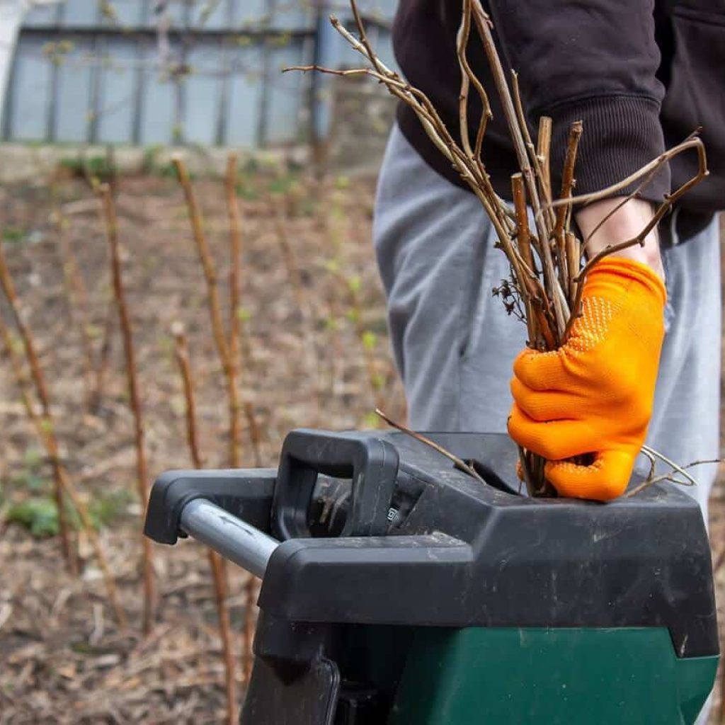 Why Choose Our Equipment for Brush Removal in Fredericksburg TX​